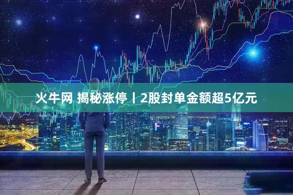 火牛网 揭秘涨停丨2股封单金额超5亿元