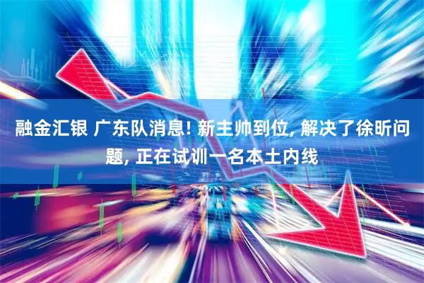 融金汇银 广东队消息! 新主帅到位, 解决了徐昕问题, 正在试训一名本土内线